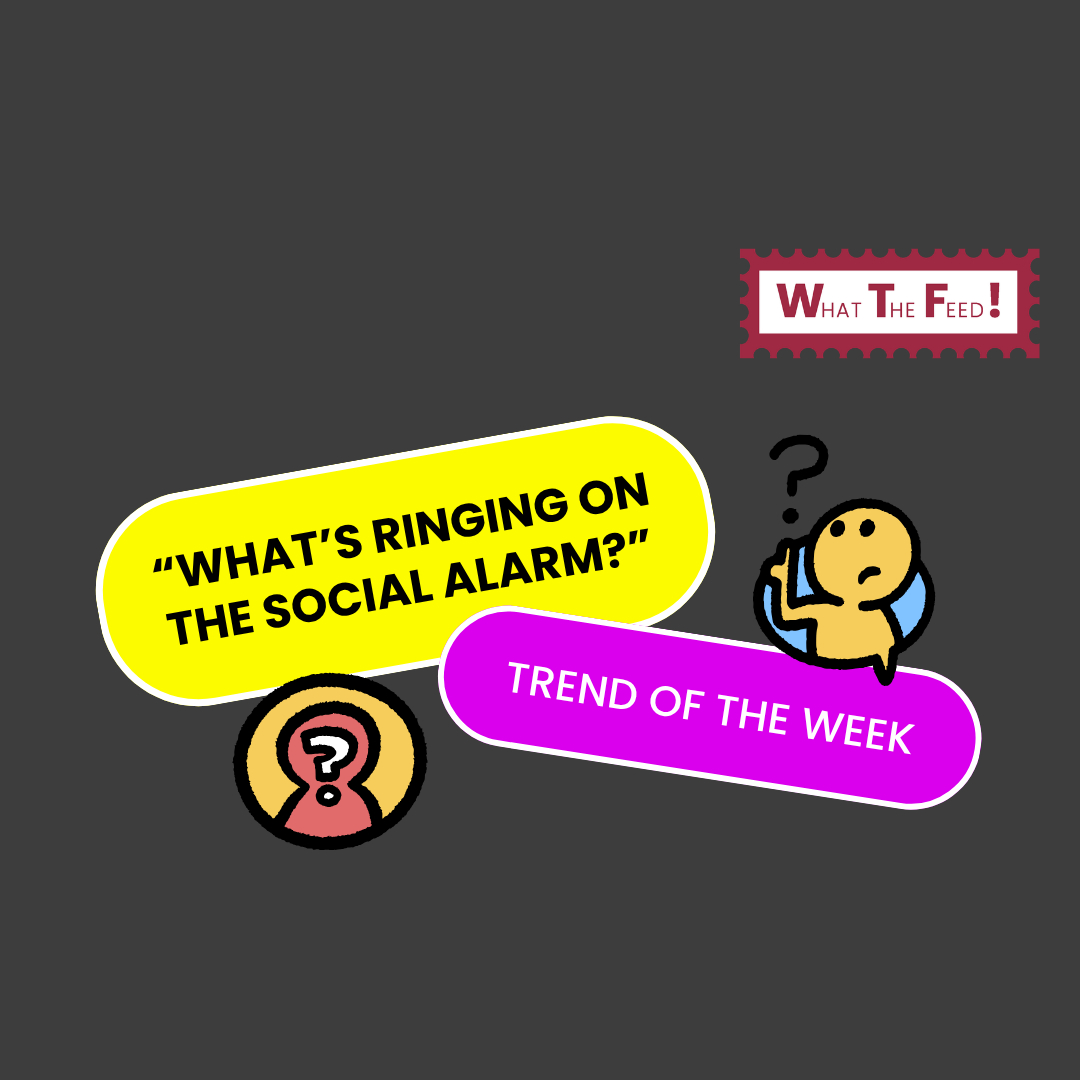 What The Feed: Guessing game