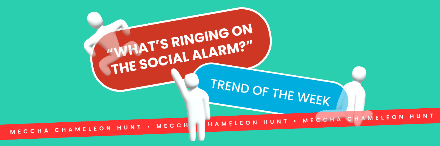 What The Feed:  Meccha Chameleon Hunt