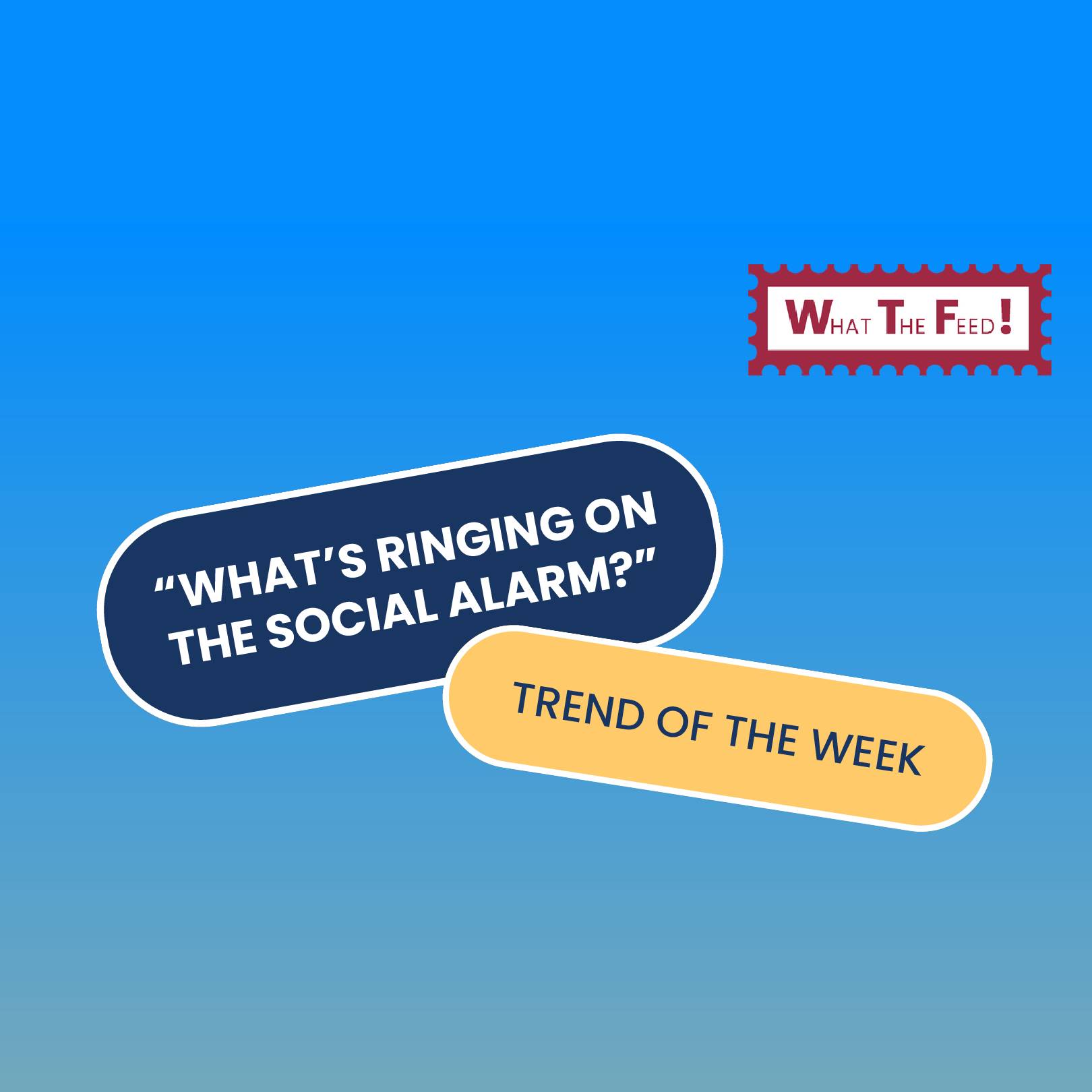 What The Feed:  The weather app a playful twist